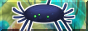 Pentumbra.png