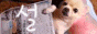 seol.gif