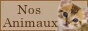 archived 88x31 button #65520