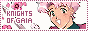 knightsofgaia.gif