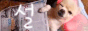 seol.png