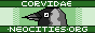 j7XmYI0.png