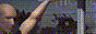 goingtothestore.gif