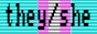 pronoun-cga-they-she-trans.png
