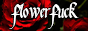 n-ff.png