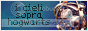 archived 88x31 button #65925