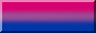 blank%20bisexual%20pride%20with%20colour%20border.png