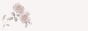florrie.gif