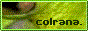 col_button.gif