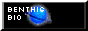 BENTHICBUTTON.png