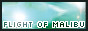 regdar-fom.png