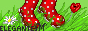 elegantes.gif