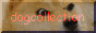 dogecollection.gif