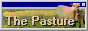 dozeysheep.png