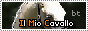 archived 88x31 button #66504