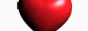 davebutton.gif