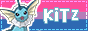 kitz_2.png