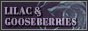 archived 88x31 button #66564